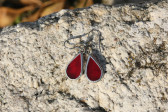 Náušnice červené malé - Tiffany šperky
